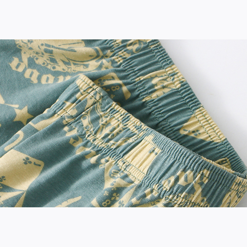 1Pcs Mens Aro Pants Cotton Box - Boyshort Underwear recensie en prijs