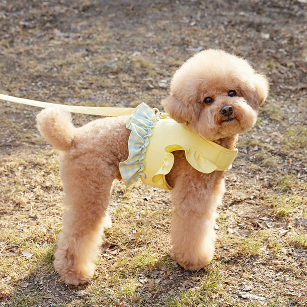 Dog Color Contrast Traction Ro - Lace Teddy Lingerie recensie en prijs