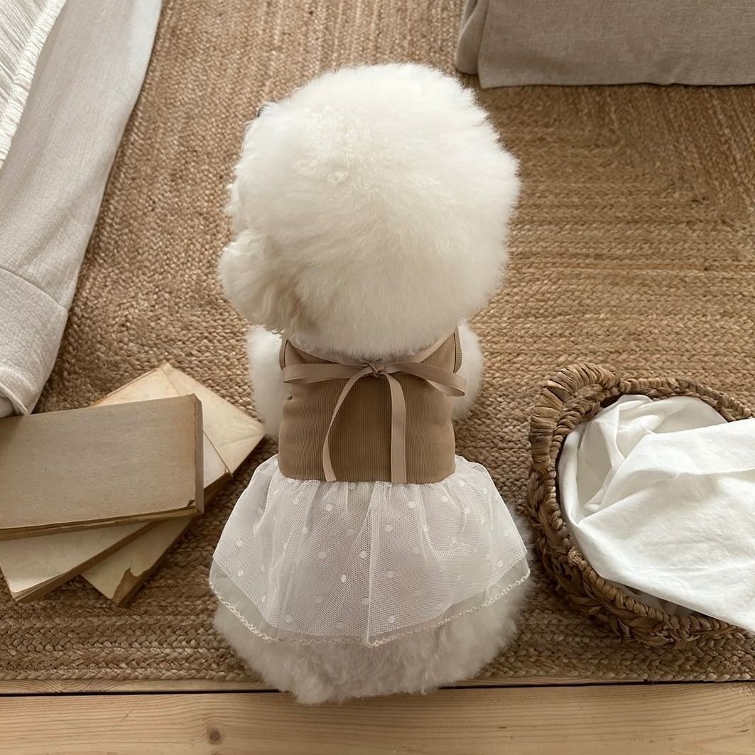 Spring and Summer Pet Lace Cam - Lace Teddy Lingerie recensie en prijs