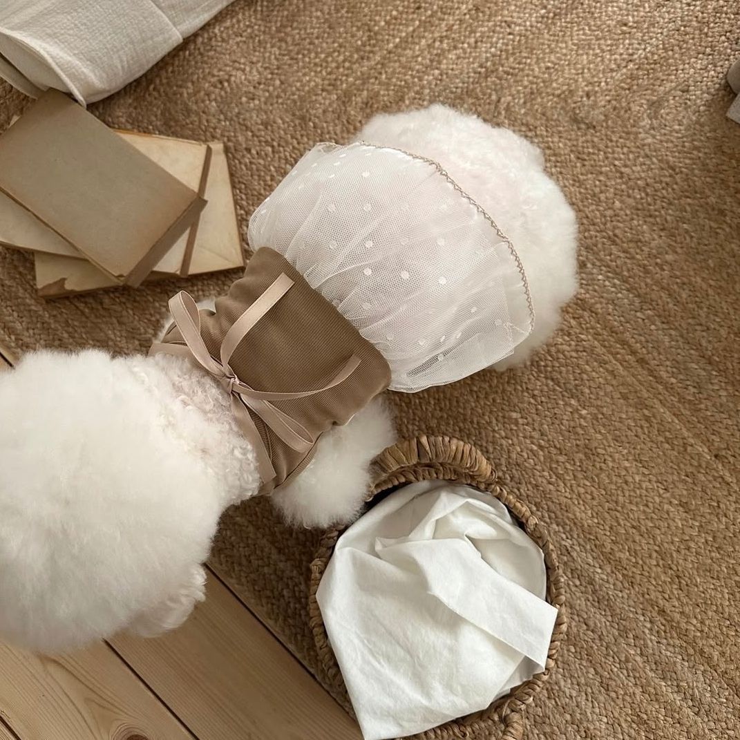 Spring and Summer Pet Lace Cam - Lace Teddy Lingerie recensie en prijs